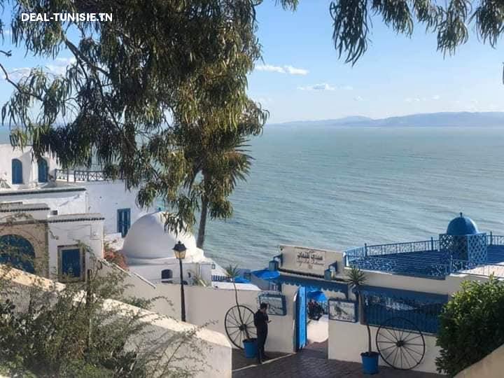Image Annonce Deal-tunisie