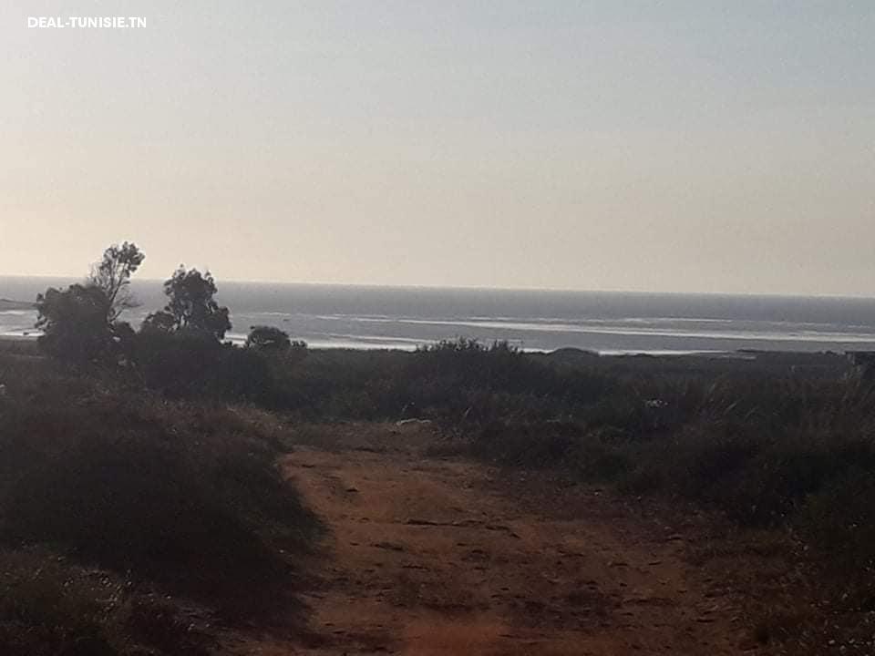 Image Annonce Deal-tunisie