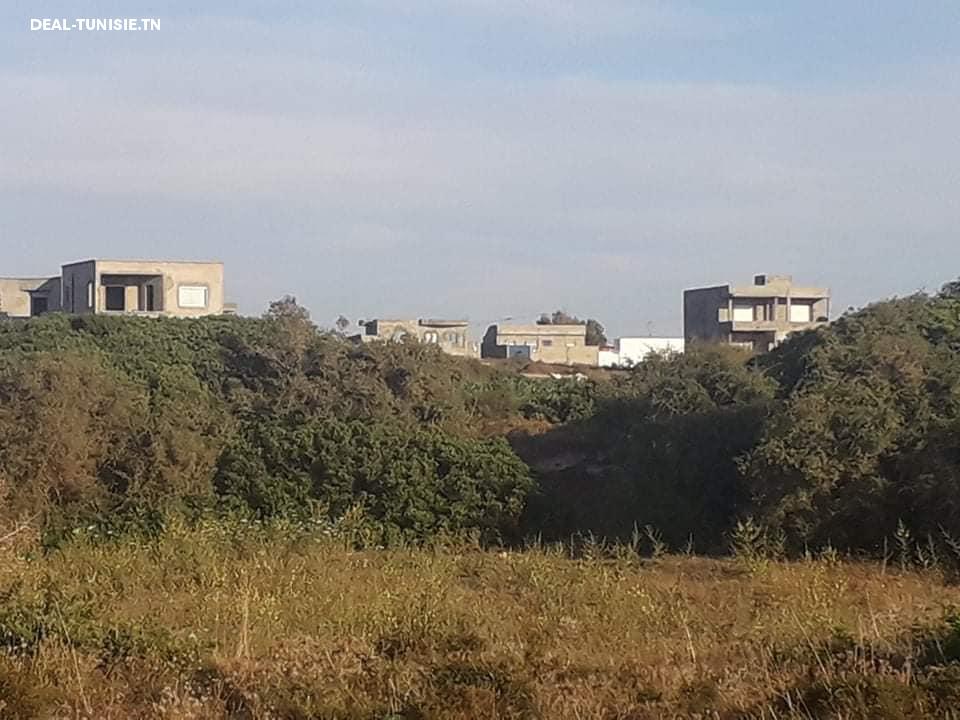 Image Annonce Deal-tunisie