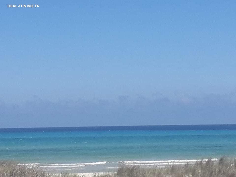 Image Annonce Deal-tunisie