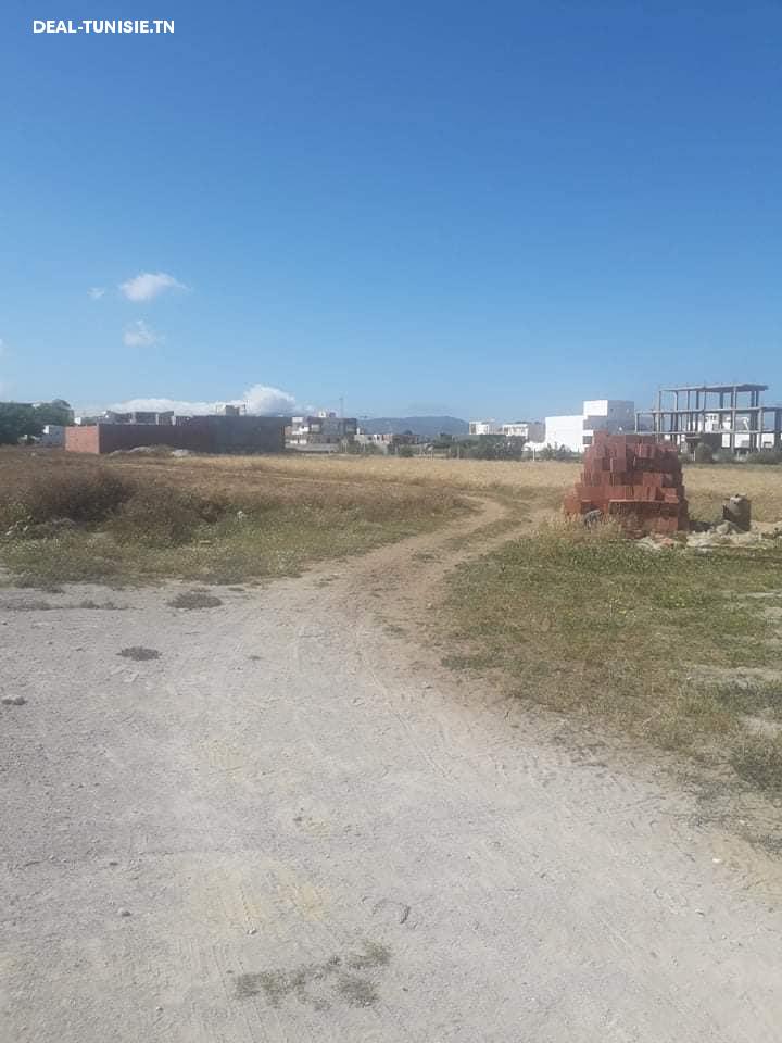 Image Annonce Deal-tunisie