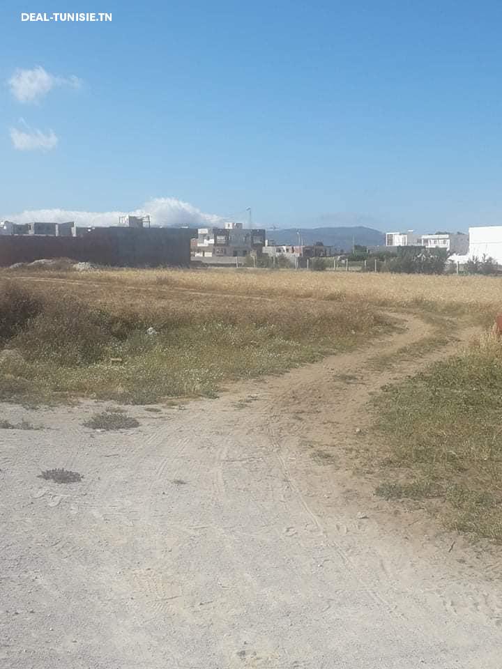 Image Annonce Deal-tunisie