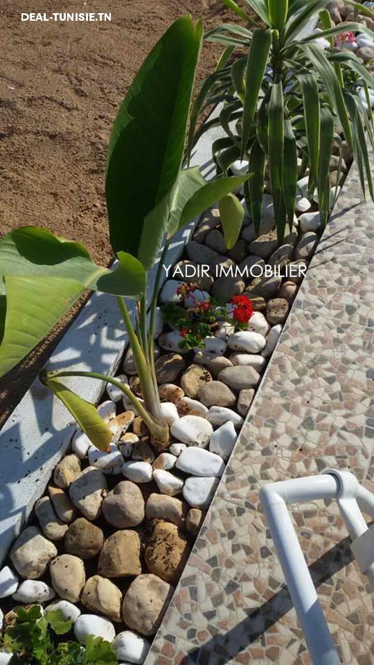 Image Annonce Deal-tunisie