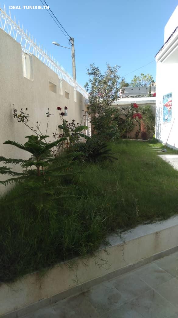 Image Annonce Deal-tunisie
