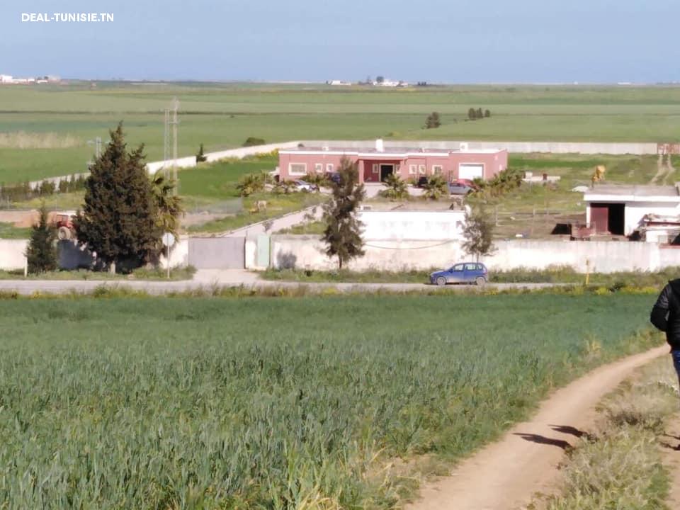 deal tunisie annonce