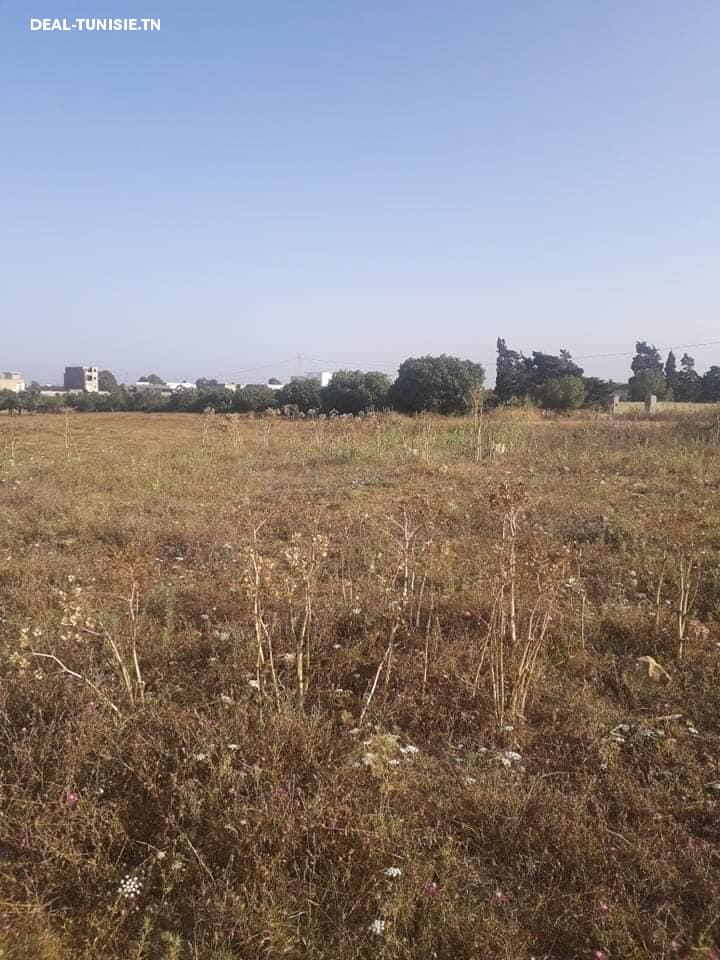 Image Annonce Deal-tunisie