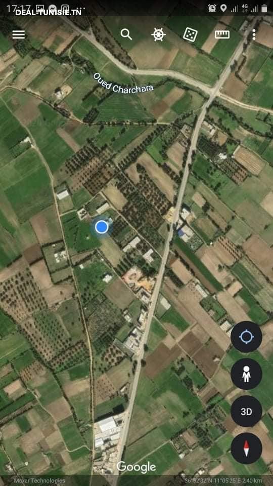 Image Annonce Deal-tunisie