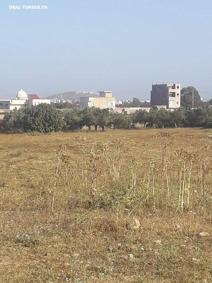 Image Annonce Deal-tunisie