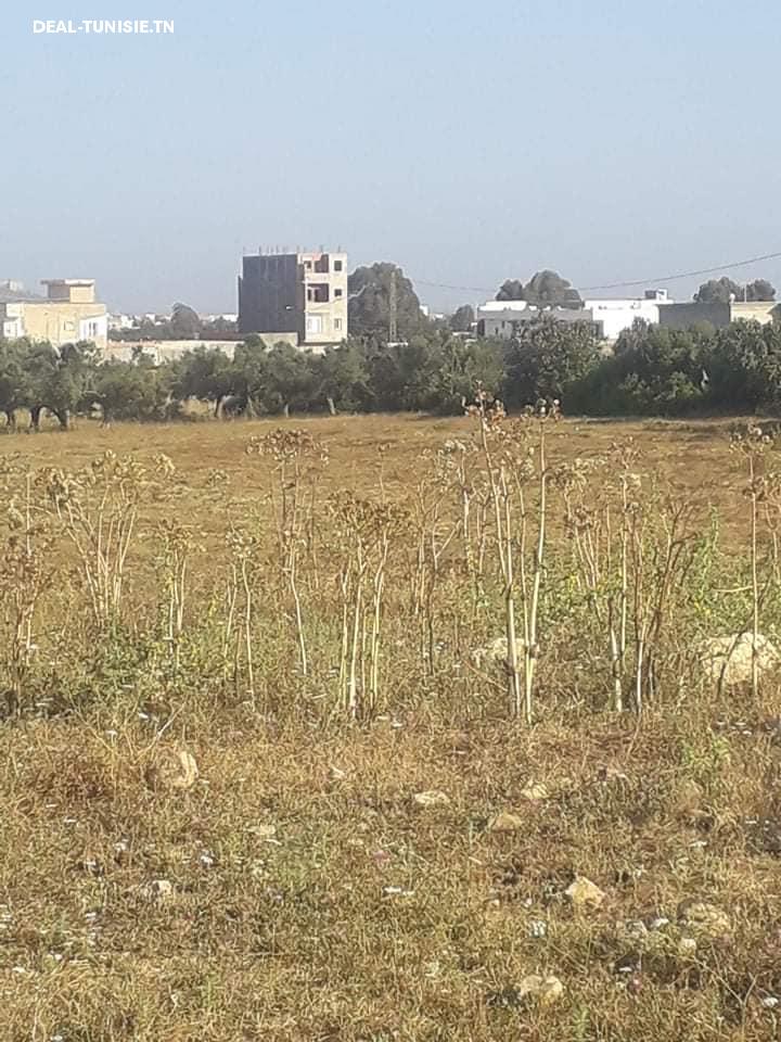 Image Annonce Deal-tunisie