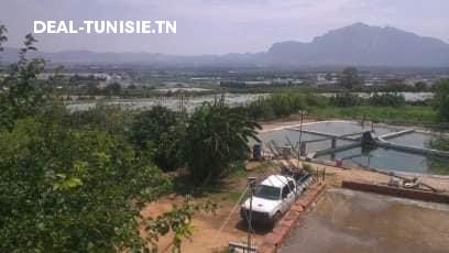 Image Annonce Deal-tunisie