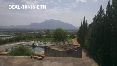 deal tunisie annonce