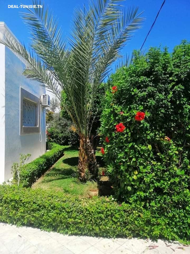 Image Annonce Deal-tunisie