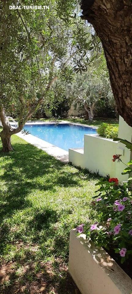 Image Annonce Deal-tunisie
