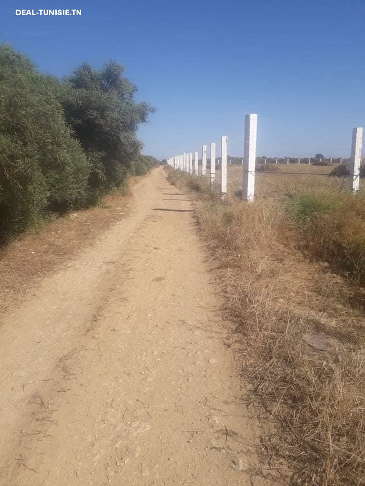 Image Annonce Deal-tunisie