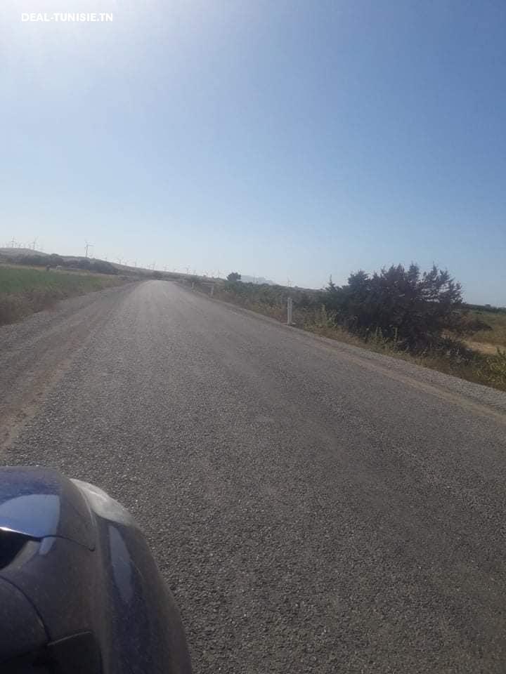 Image Annonce Deal-tunisie