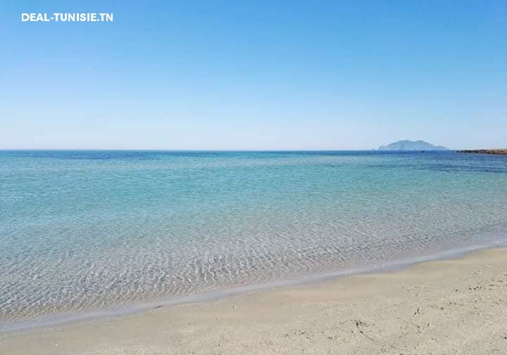 Image Annonce Deal-tunisie