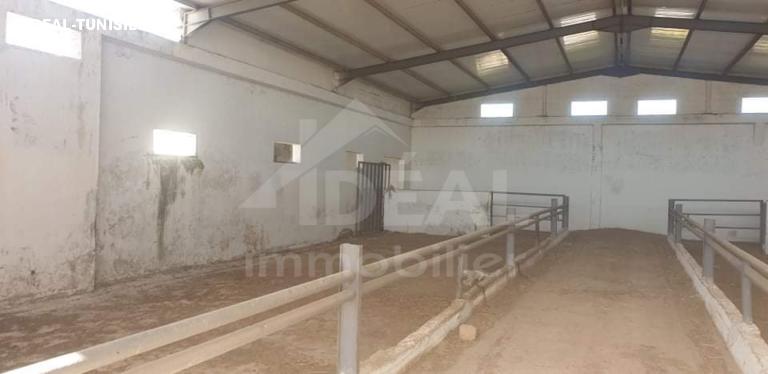 deal tunisie annonce