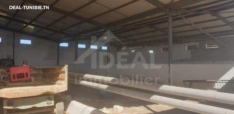 Image Annonce Deal-tunisie