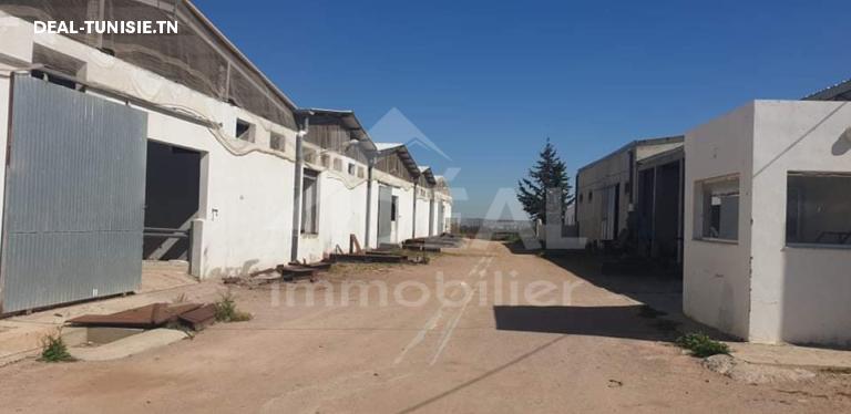 Image Annonce Deal-tunisie