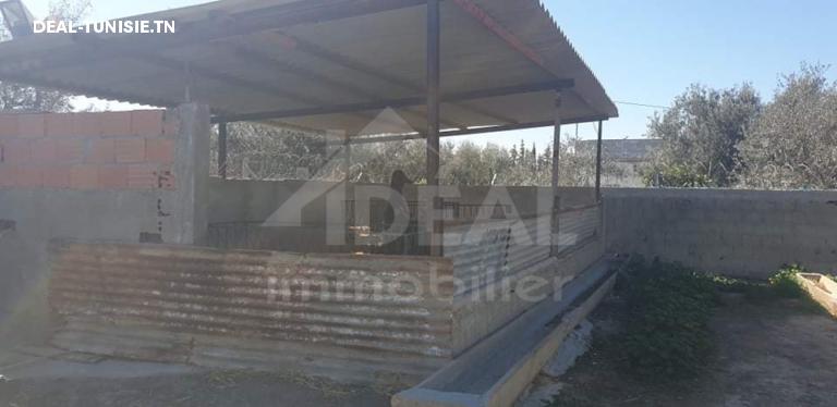 Image Annonce Deal-tunisie