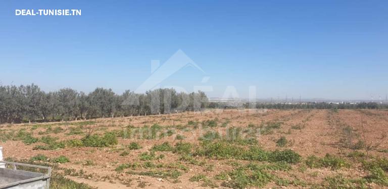 Image Annonce Deal-tunisie
