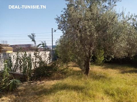 deal tunisie annonce