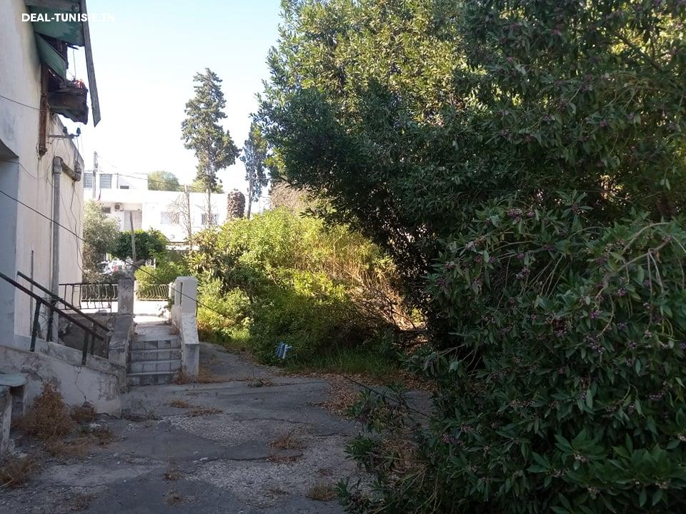 Image Annonce Deal-tunisie