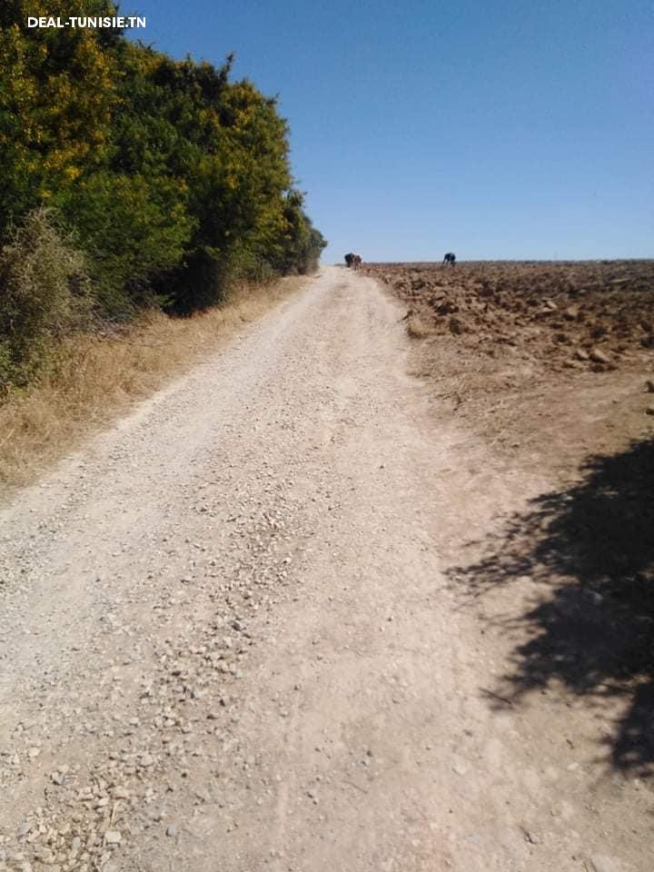 Image Annonce Deal-tunisie