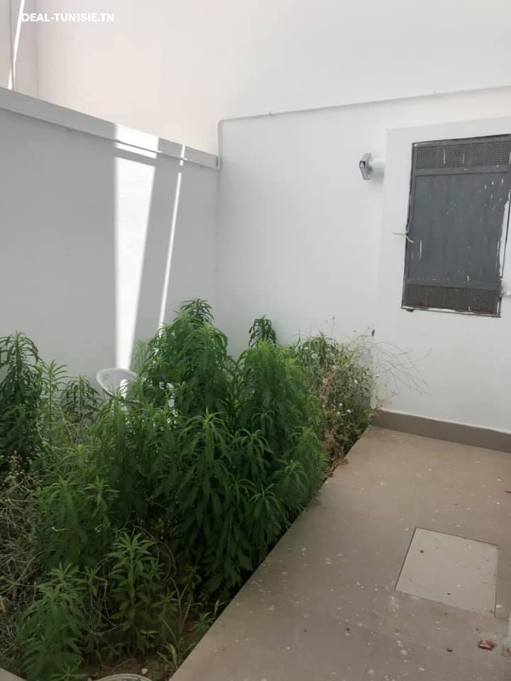 Image Annonce Deal-tunisie