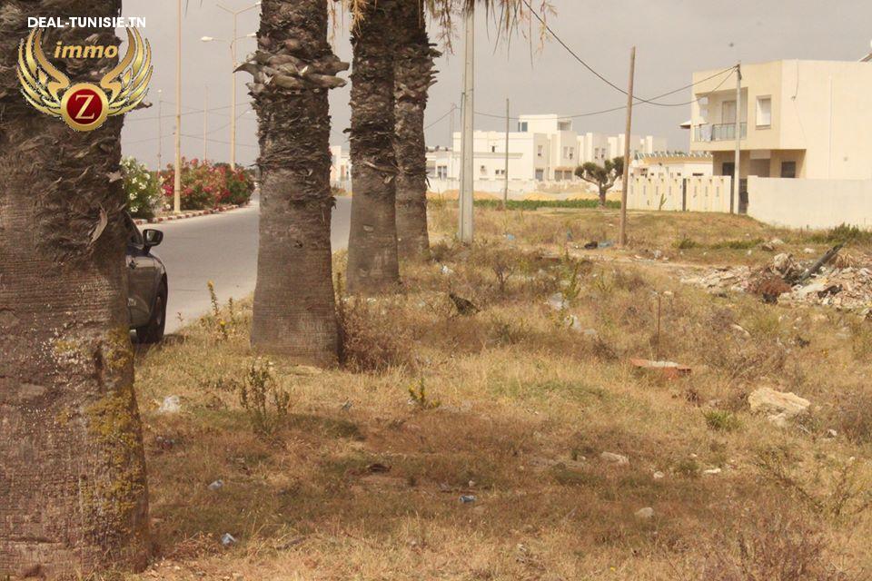 Image Annonce Deal-tunisie