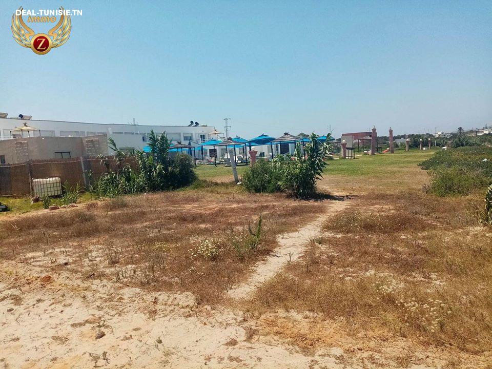 Image Annonce Deal-tunisie