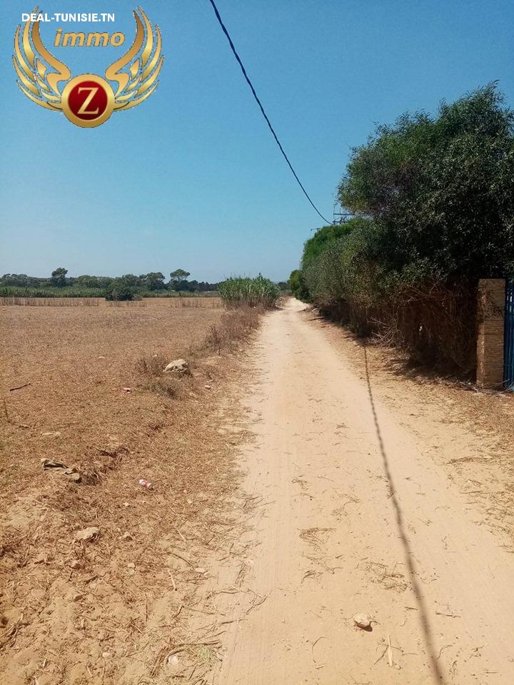 Image Annonce Deal-tunisie