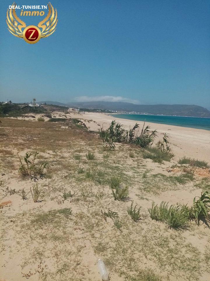 Image Annonce Deal-tunisie