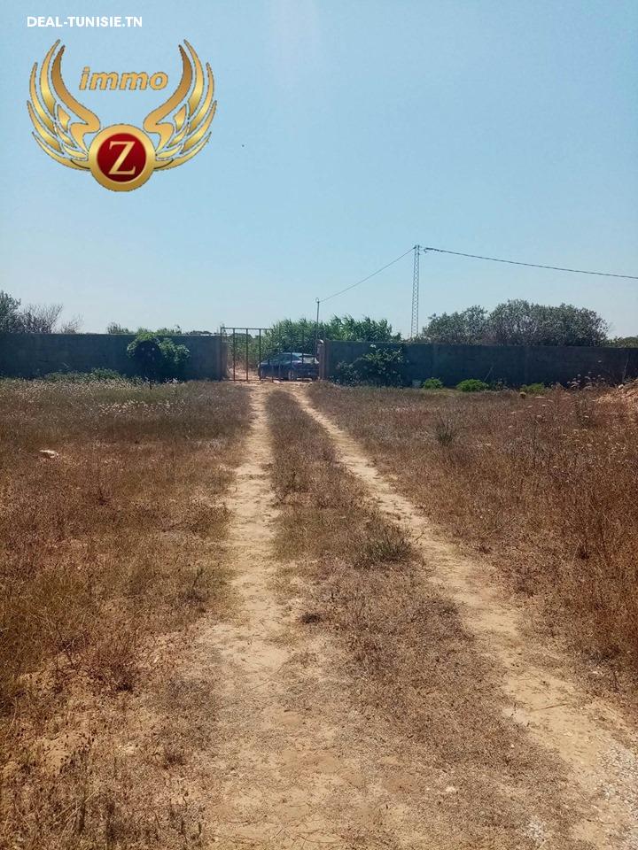 Image Annonce Deal-tunisie