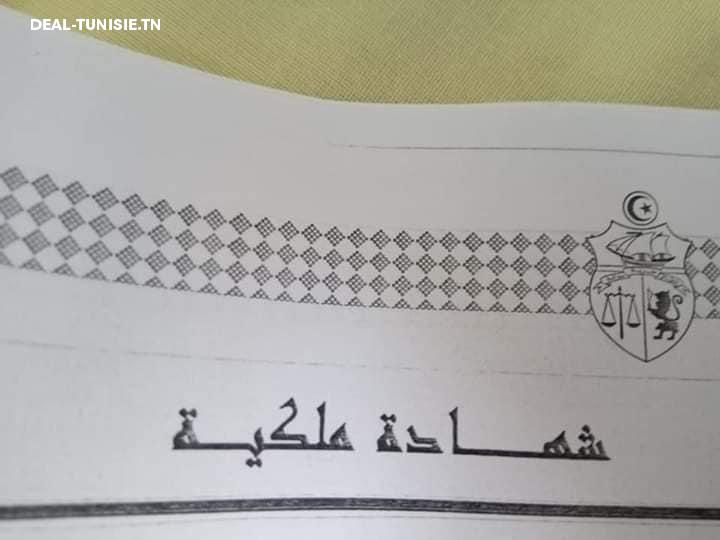 Image Annonce Deal-tunisie