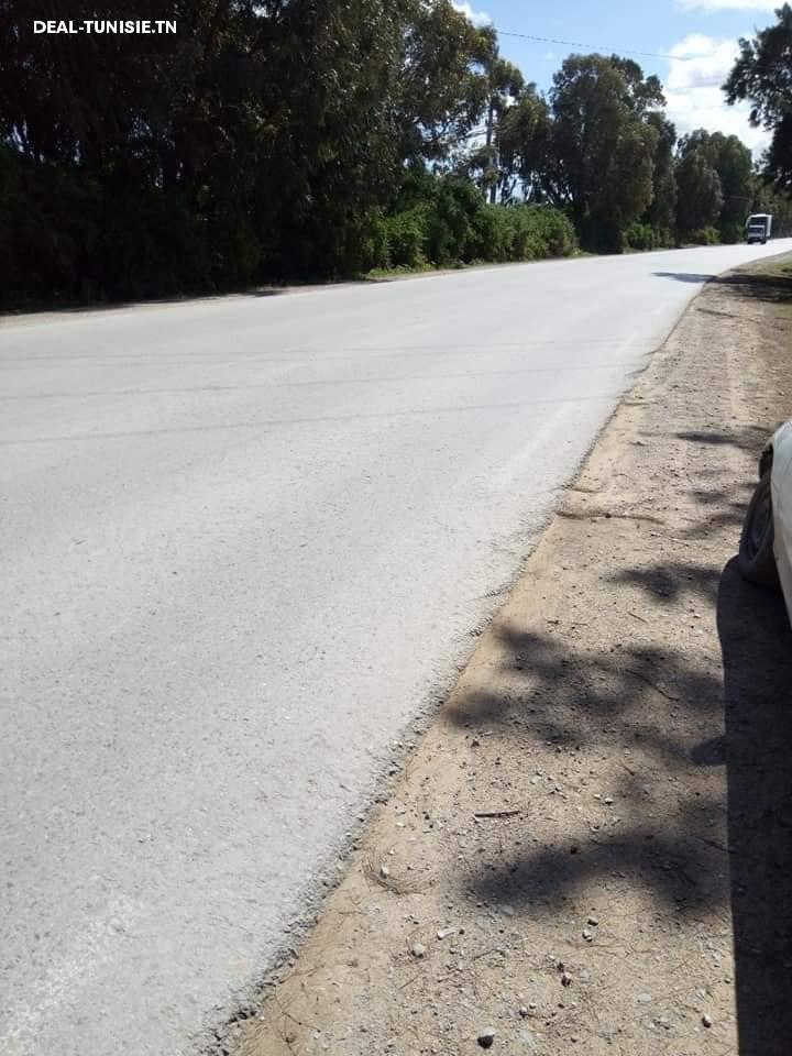 Image Annonce Deal-tunisie