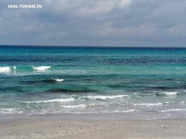 Image Annonce Deal-tunisie