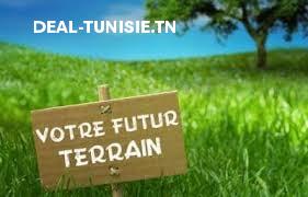 deal tunisie annonce