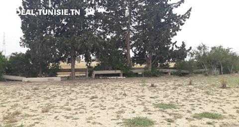Image Annonce Deal-tunisie
