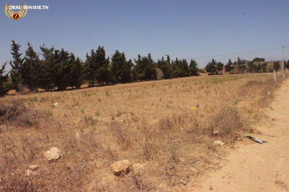 Image Annonce Deal-tunisie