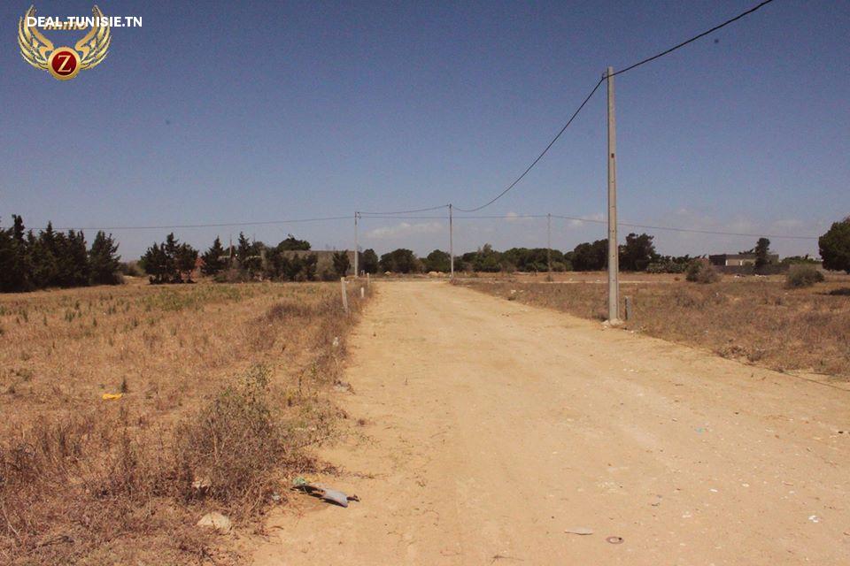 Image Annonce Deal-tunisie