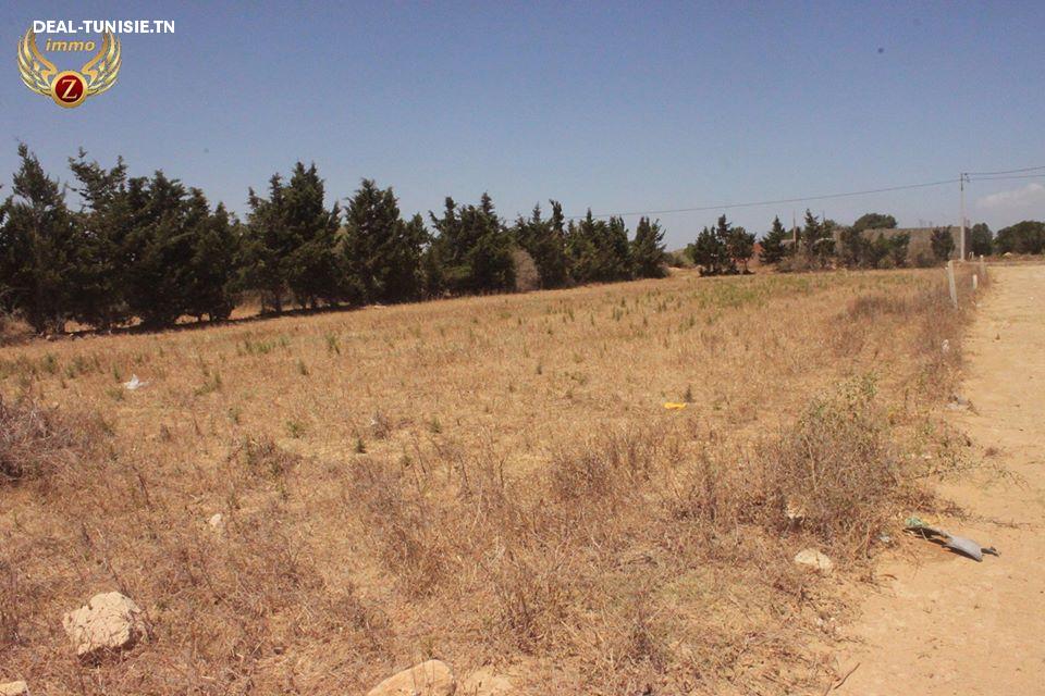Image Annonce Deal-tunisie