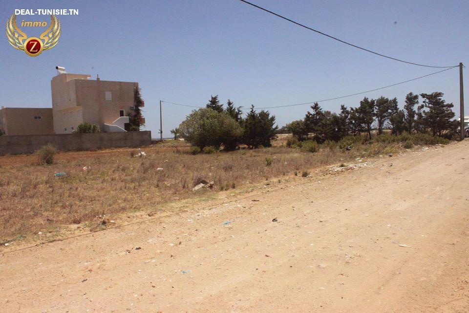 Image Annonce Deal-tunisie