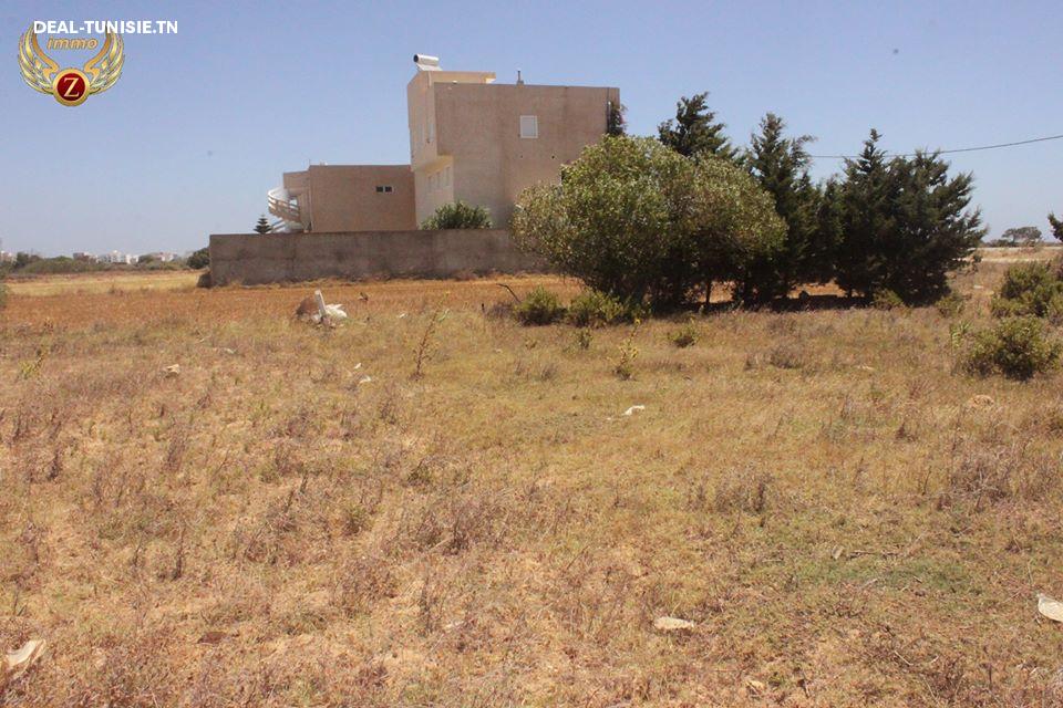 Image Annonce Deal-tunisie
