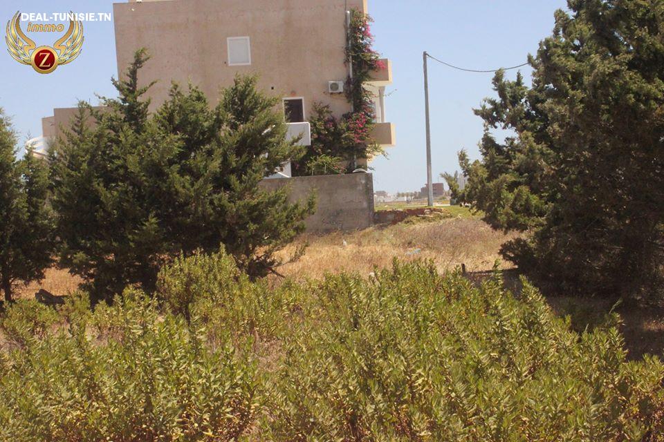 Image Annonce Deal-tunisie