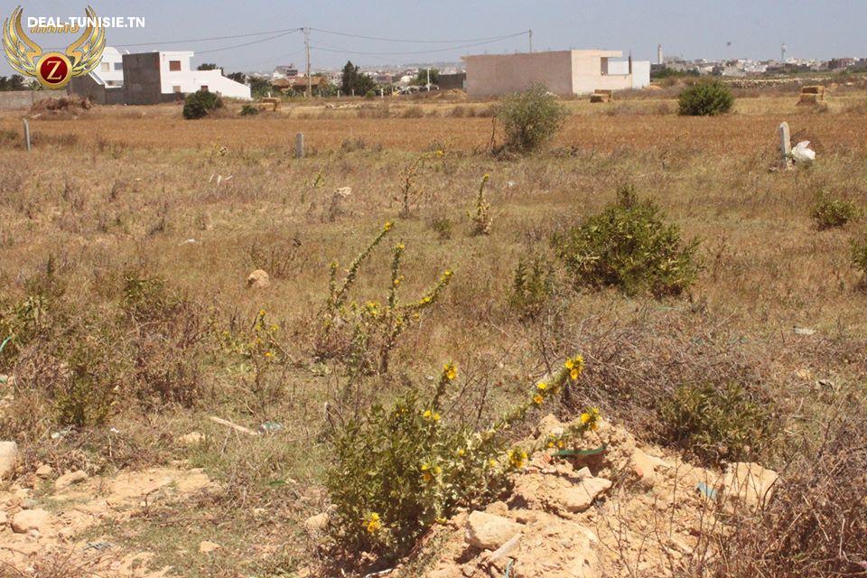 Image Annonce Deal-tunisie