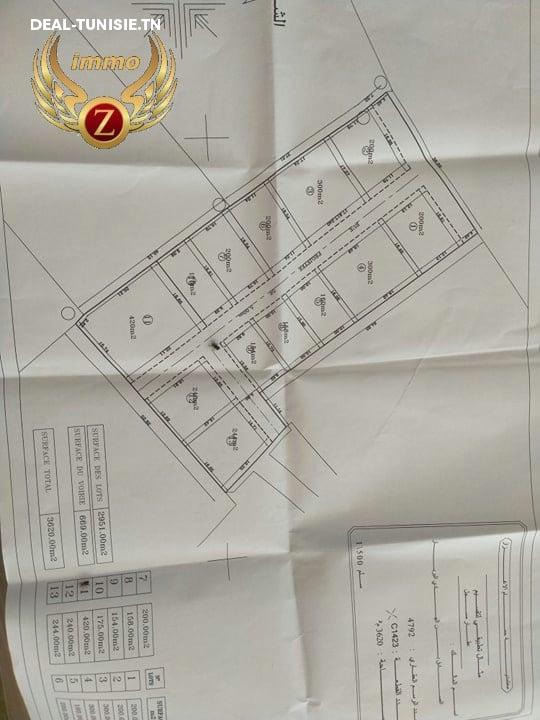 Image Annonce Deal-tunisie