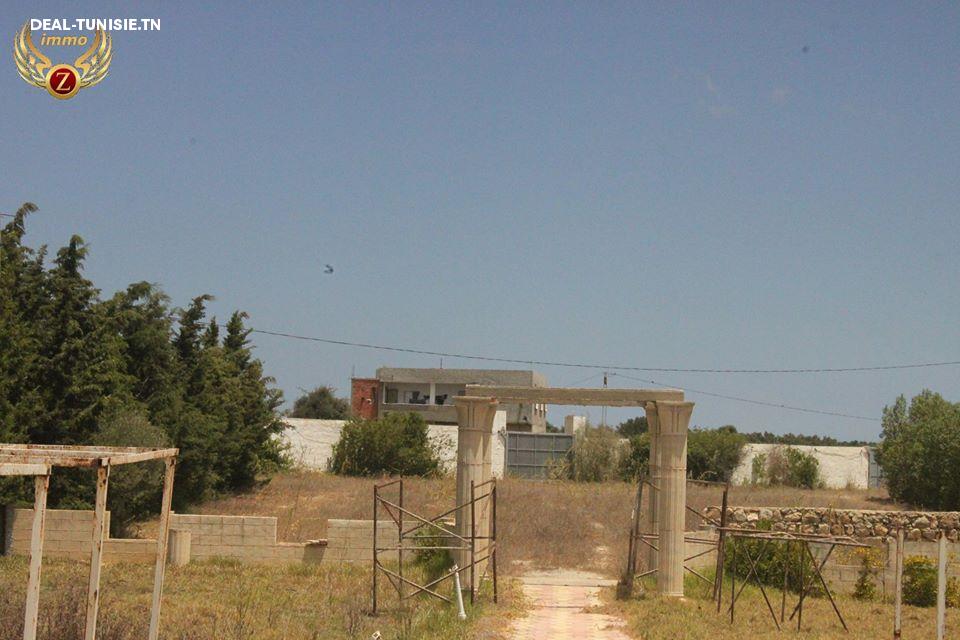 deal tunisie annonce