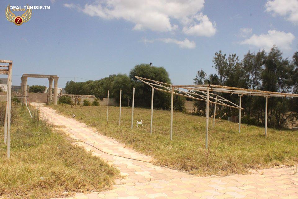 Image Annonce Deal-tunisie