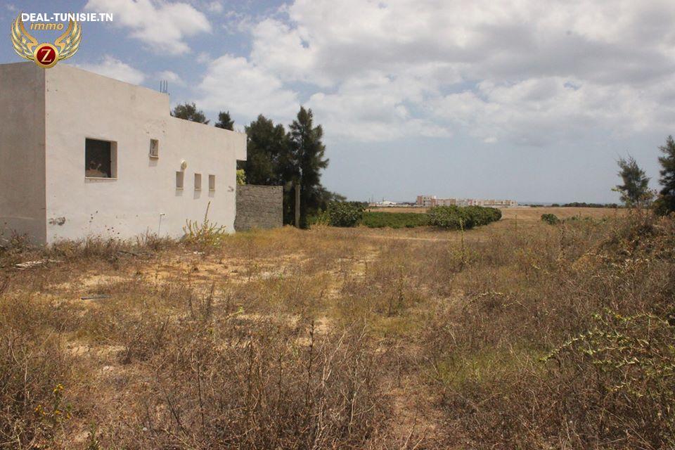Image Annonce Deal-tunisie